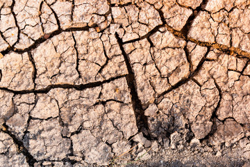 Cracked ground caused by drought. Impact of global warming concept.