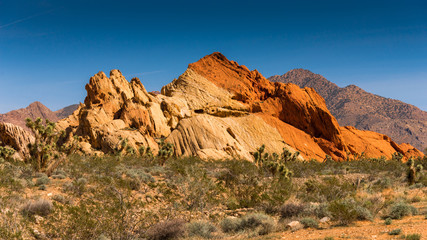Desert White & Red Rock