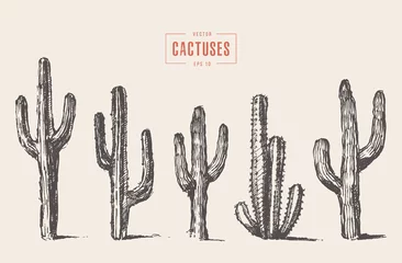Foto op Canvas Set cactus hand drawn vector illustration sketch © Alexandr Bakanov
