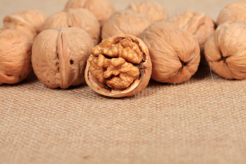 walnut