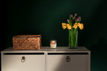 yellow daffodil flowers with purple tulip blooming in vase with green wall.
