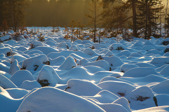 Fototapeta Stone fields in the Ural mountains.