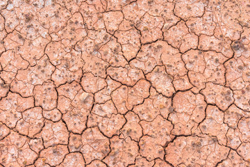 Crack soil texture background