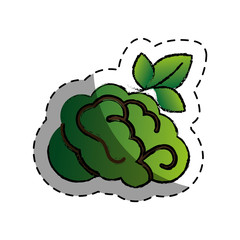 brain human with tree creative icon vector illustration design