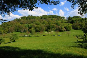 Fototapeta premium Green meadow in spring, Germany