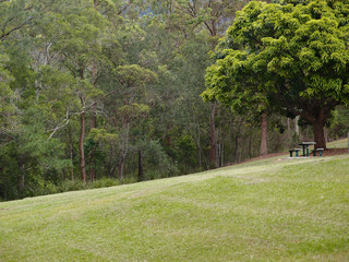 Picnic table under a mango tree
