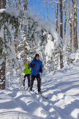 Couple cross country skiing in winter