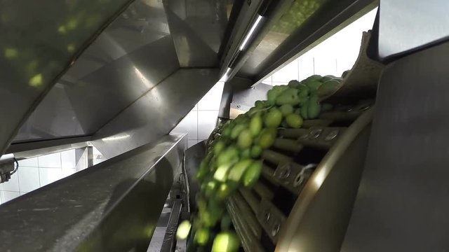 The process of olive washing in a modern oil mill