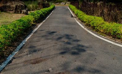 Road in the park