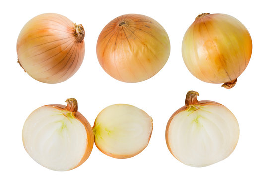 Set of fresh onion isolated on white background.