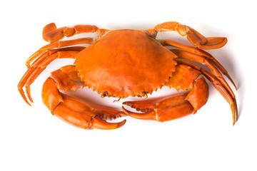 Steamed crab on white background.