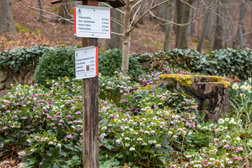 Bodetal harz Wanderweg