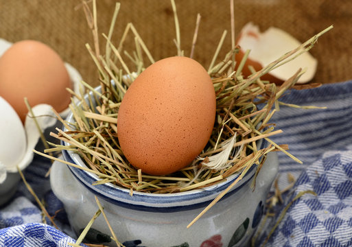 Bio Ei auf Heu, Stroh, Nahaufnahme, Foodstyling 