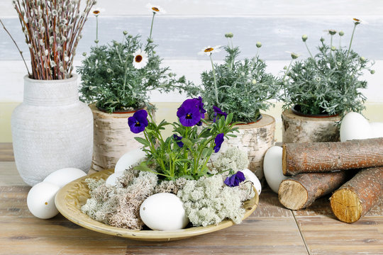Floral arrangement with pansy flowers and moss