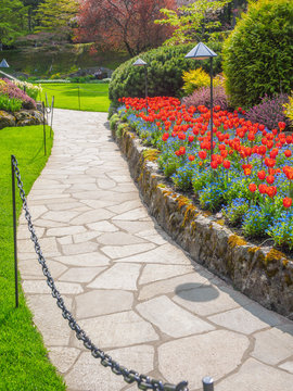 Paved Walkway In The Spring Garden