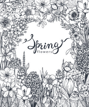 Floral background with hand drawn spring flowers