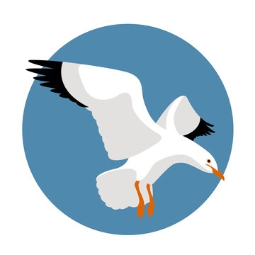 seagull vector illustration style Flat