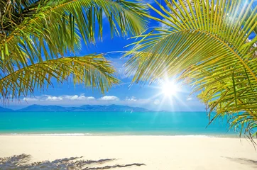 Poster Im Rahmen Urlaub, Tourismus, Glück, Freude, Entspannung, Auszeit, Meditation: Traumurlaub an einem einsamen idyllischen Strand in der Karibik :) © doris oberfrank-list