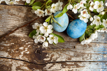 Fototapeta premium Easter background with blue painted easter eggs, white flowers on wood background with copy space