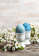 Easter eggs in egg holder with white blossom in background with copy space. vertical banner 
