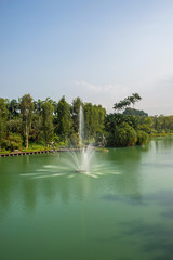 Gardens by the Bay park at Marina Bay, Singapore
