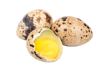 Broken quail egg on white background closeup