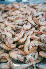 Bunch of Fresh shrimp on the local fish market in Cadiz, Spain