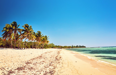 Beach sand blue sky Caribbean Sea Cuba relax