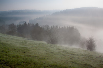 Fototapeta na wymiar Nebelschleier über der Eifel