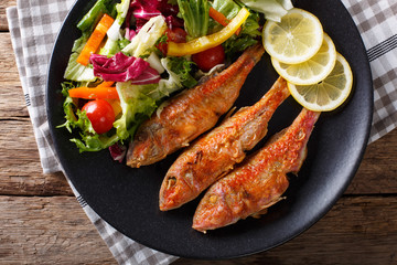 Fried fish red mullet with fresh vegetable salad close-up. horizontal top view