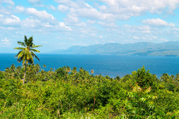 Tropical scenery with palm tree forest and sea. Philippines island hopping.