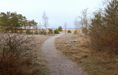 Path to the sea.