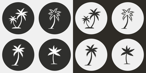 Palm tree icon set.