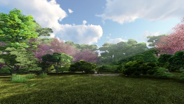 Zen eastern garden background, with grass and chinese jap trees, 3d illustration