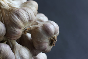 Garlic
