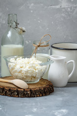 Various dairy products: Cottage cheese, bottle of milk on a dark background