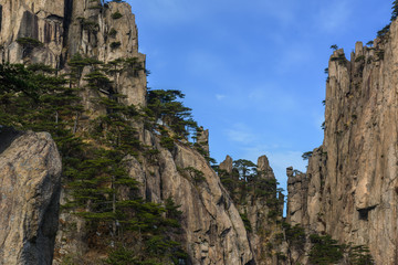 Fototapeta na wymiar Landscape of Huangshan (Yellow Mountains). Huangshan Pine trees. Located in Anhui province in eastern China. It is a UNESCO World Heritage Site, and one of China's major tourist destinations.