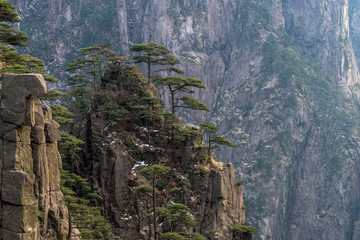 Landscape of Huangshan (Yellow Mountains). Huangshan Pine trees. Located in Anhui province in eastern China. It is a UNESCO World Heritage Site, and one of China's major tourist destinations.