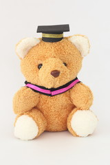 Brown bear wearing a graduation cap on a white background.