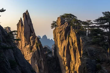 Foto op Plexiglas Huangshan Landscape of Huangshan (Yellow Mountains). Huangshan Pine trees. Located in Anhui province in eastern China. It is a UNESCO World Heritage Site, and one of China's major tourist destinations.