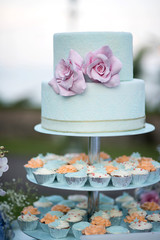Obraz na płótnie Canvas Cup Cake Wedding