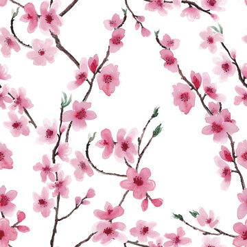 Seamless pattern with Beautiful Cherry blossom flowers, Sakura branch flowers Watercolor painting