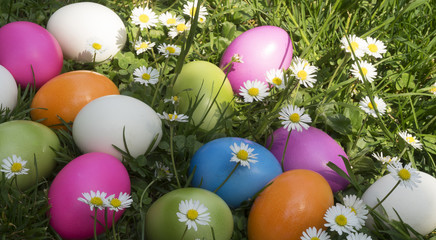 Easter eggs in the grass with daisies