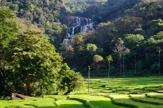 Rathna Ella, at 111 feet, is the 10th highest waterfall in Sri Lanka, situated in Kandy District. The main occupation of the villagers in Rathna Ella is paddy cultivation