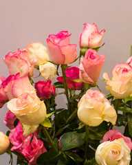 Abstract background of colorful flowers. Close-up.