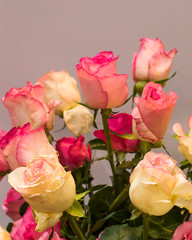 Abstract background of colorful flowers. Close-up.