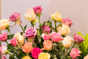 Abstract background of colorful flowers. Close-up.