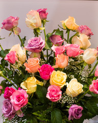 Abstract background of colorful flowers. Close-up.