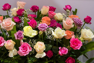 Abstract background of colorful flowers. Close-up.