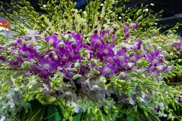 Abstract background of colorful flowers. Close-up.